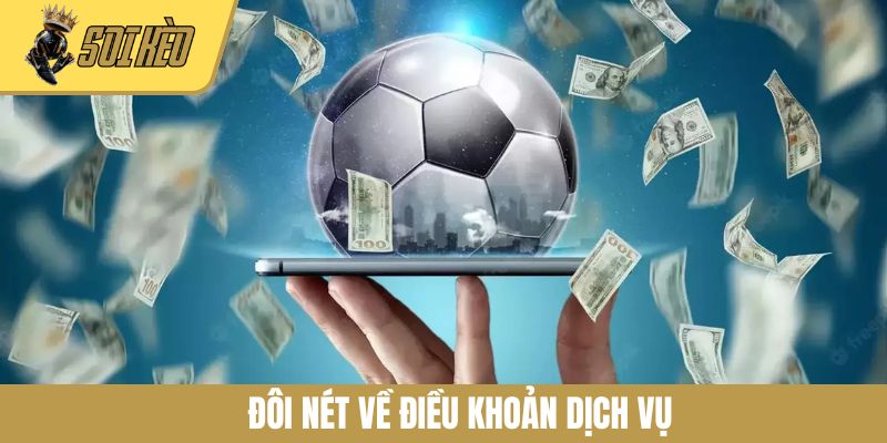 Đôi nét về điều khoản dịch vụ