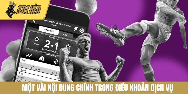 Một vài nội dung chính trong điều khoản dịch vụ