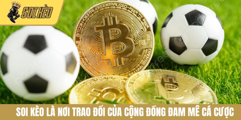 Soi Kèo là nơi trao đổi của cộng đồng đam mê cá cược