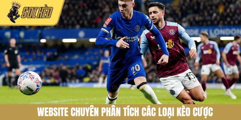 Website chuyên phân tích các loại kèo cược