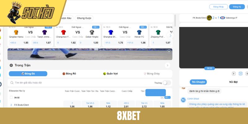 8XBET - Địa Chỉ Cá Cược Bóng Đá Trực Tuyến Được Ưa Chuộng