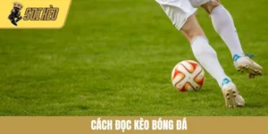 Cách Đọc Kèo Bóng Đá - Tổng Hợp Kiến Thức Cơ Bản Cho Newbie