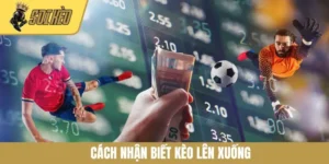 Cách Nhận Biết Kèo Lên Xuống - Cập Nhật Kiến Thức 2025