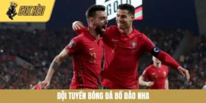 Đội Tuyển Bóng Đá Bồ Đào Nha: Niềm Tự Hào Của Châu Âu