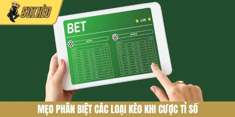 Mẹo phân biệt các loại kèo khi cược tỉ số