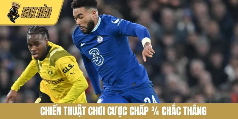 Chiến thuật chơi cược chấp 3/4 chắc thắng