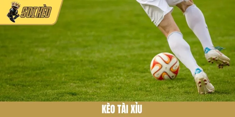 Giải Mã Kèo Tài Xỉu Và 4 Phương Pháp Soi Kèo Hiệu Quả Cao