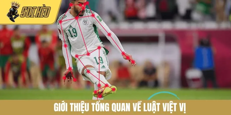Giới thiệu tổng quan về luật việt vị