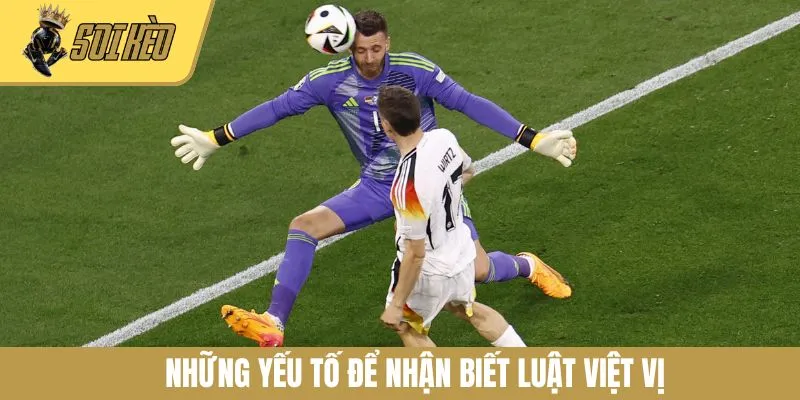 Những yếu tố để nhận biết luật việt vị
