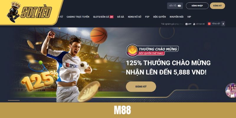 M88 - Nền Tảng Cá Cược Bóng Đá Nổi Bật Nhất Năm 2025