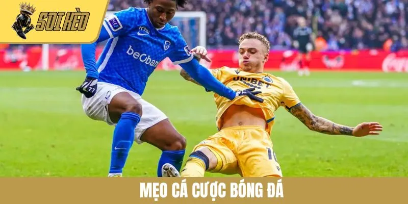 Mẹo Cá Cược Bóng Đá Hiệu Quả Từ Các Cao Thủ Kỳ Cựu Năm 2025