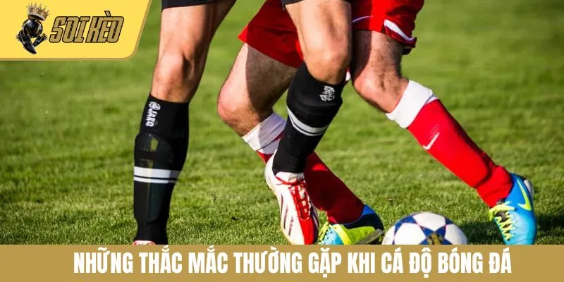 Những thắc mắc thường gặp khi cá độ bóng đá