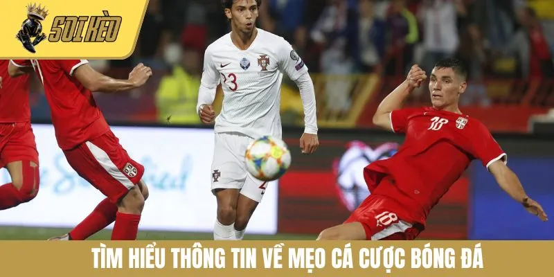 Tìm hiểu thông tin về mẹo cá cược bóng đá
