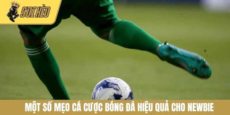 Một số mẹo cá cược bóng đá hiệu quả cho newbie